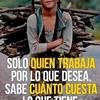 manueldiaz559